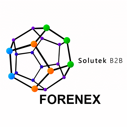 mantenimiento correctivo de monitores Forenex