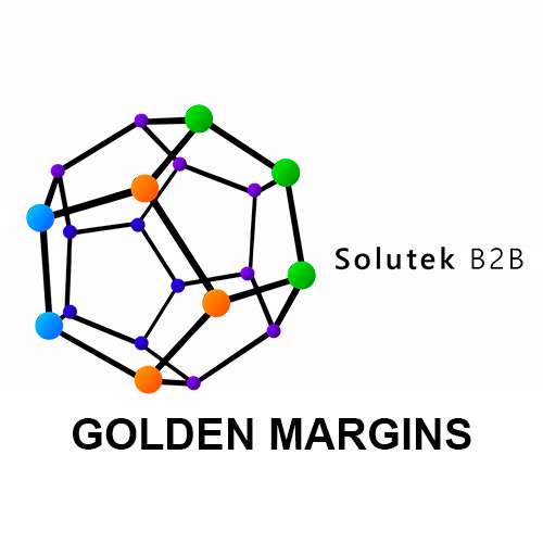 mantenimiento correctivo de monitores Golden Margins