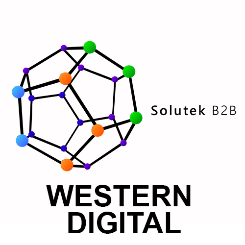 mantenimiento correctivo de NAS Western Digital
