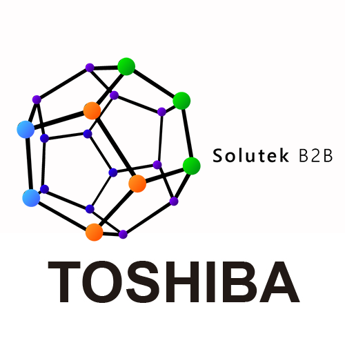 Reparacion de Computadores TOSHIBA