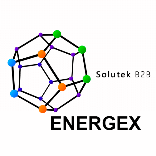 soporte técnico de UPS Energex
